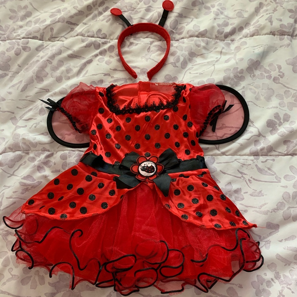 Brand new with tags girls lady bug costume